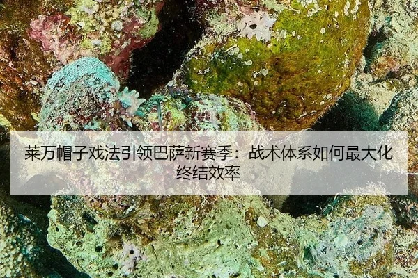 lai-wan-mao-zi-xi-fa-yin-ling-ba-sa-xin-sai-ji-zhan-shu-ti-xi-ru-he-zui-da-hua-zhong-jie-xiao-lv-2-889.jpg